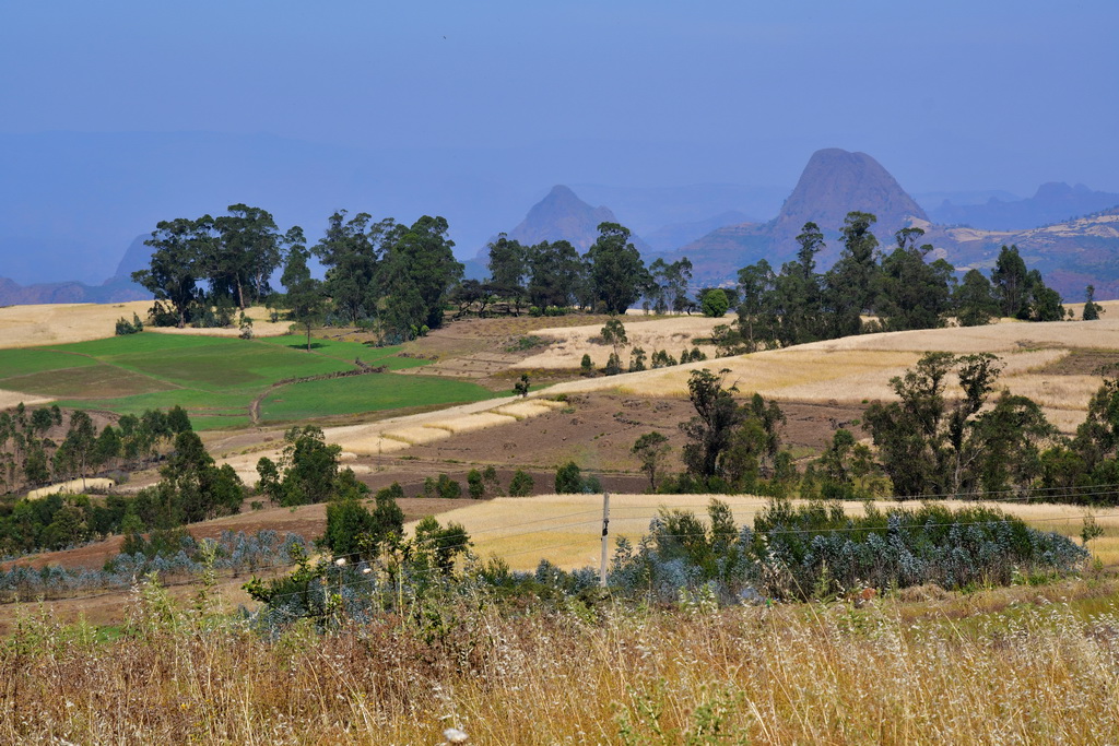 Gondar to Simien Mountains N.P.